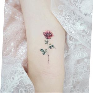 Meet your Posher, Savannah